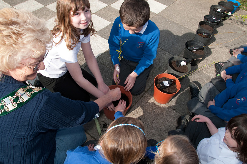 DGPX240311-006 
 Keywords: Downhall Primary School, Events, Marketing, Public Relations, RTC, Rayleigh in Bloom, ian H Ward, photography