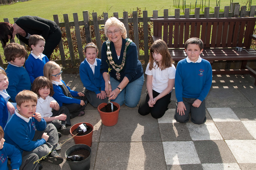 DGPX240311-002 
 Keywords: Downhall Primary School, Events, Marketing, Public Relations, RTC, Rayleigh in Bloom, ian H Ward, photography