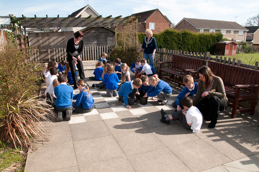 DGPX240311-037 
 Keywords: Downhall Primary School, Events, Marketing, Public Relations, RTC, Rayleigh in Bloom, ian H Ward, photography