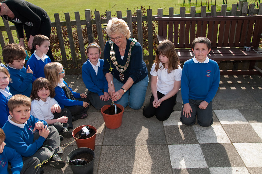 DGPX240311-001 
 Keywords: Downhall Primary School, Events, Marketing, Public Relations, RTC, Rayleigh in Bloom, ian H Ward, photography